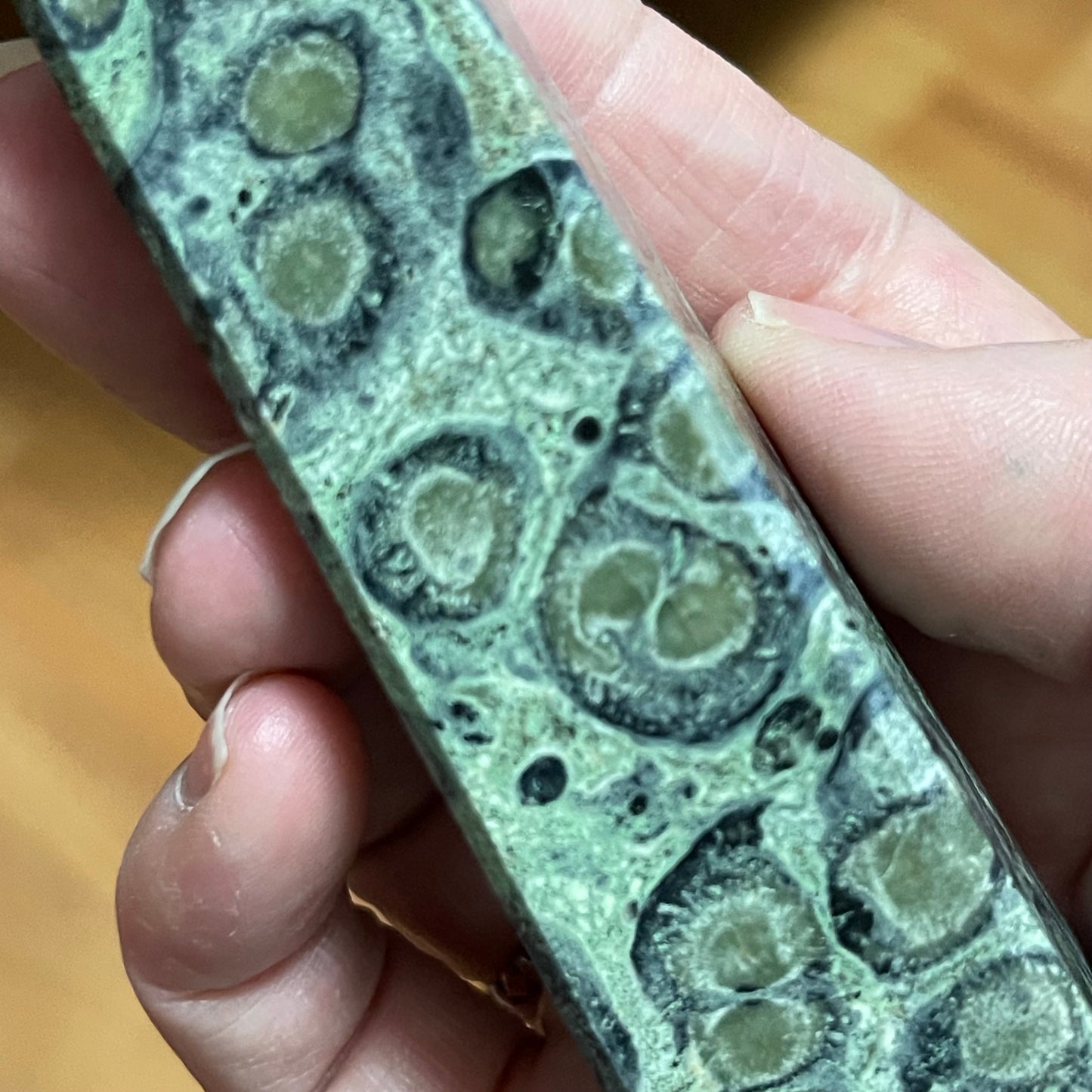Kambaba Jasper Tower green healing crystal