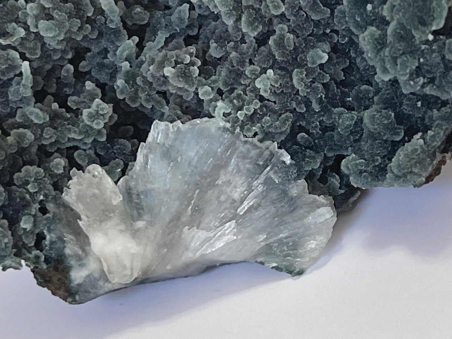 Green Chalcedony with Heulandite Raw Chalcedony Cluster Heulandite specimen Botryoidal Crystal Home Decor Rare Crystal Specimen Gift