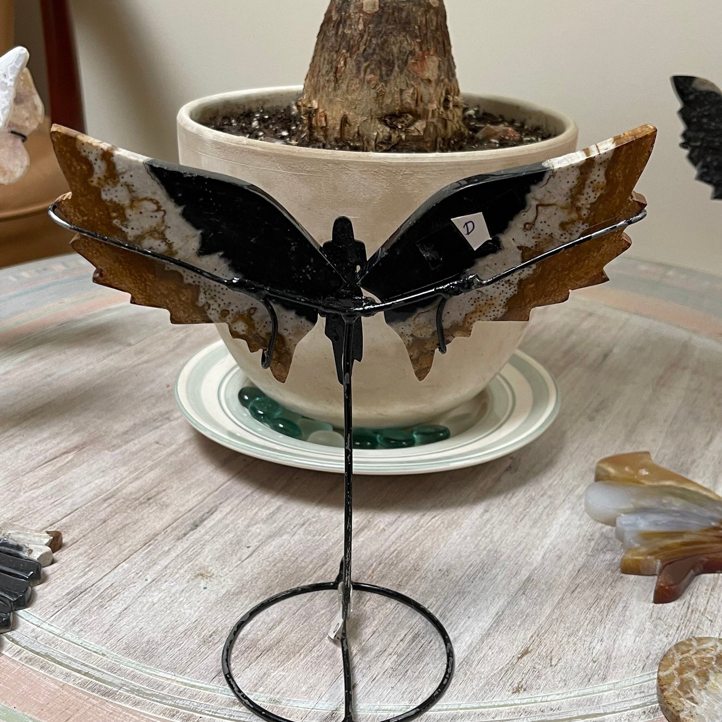 Fossilized Palm Root Wings-Phoenix Woman Crystal Wing Set-Home Decor-Natural Gemstone Wings