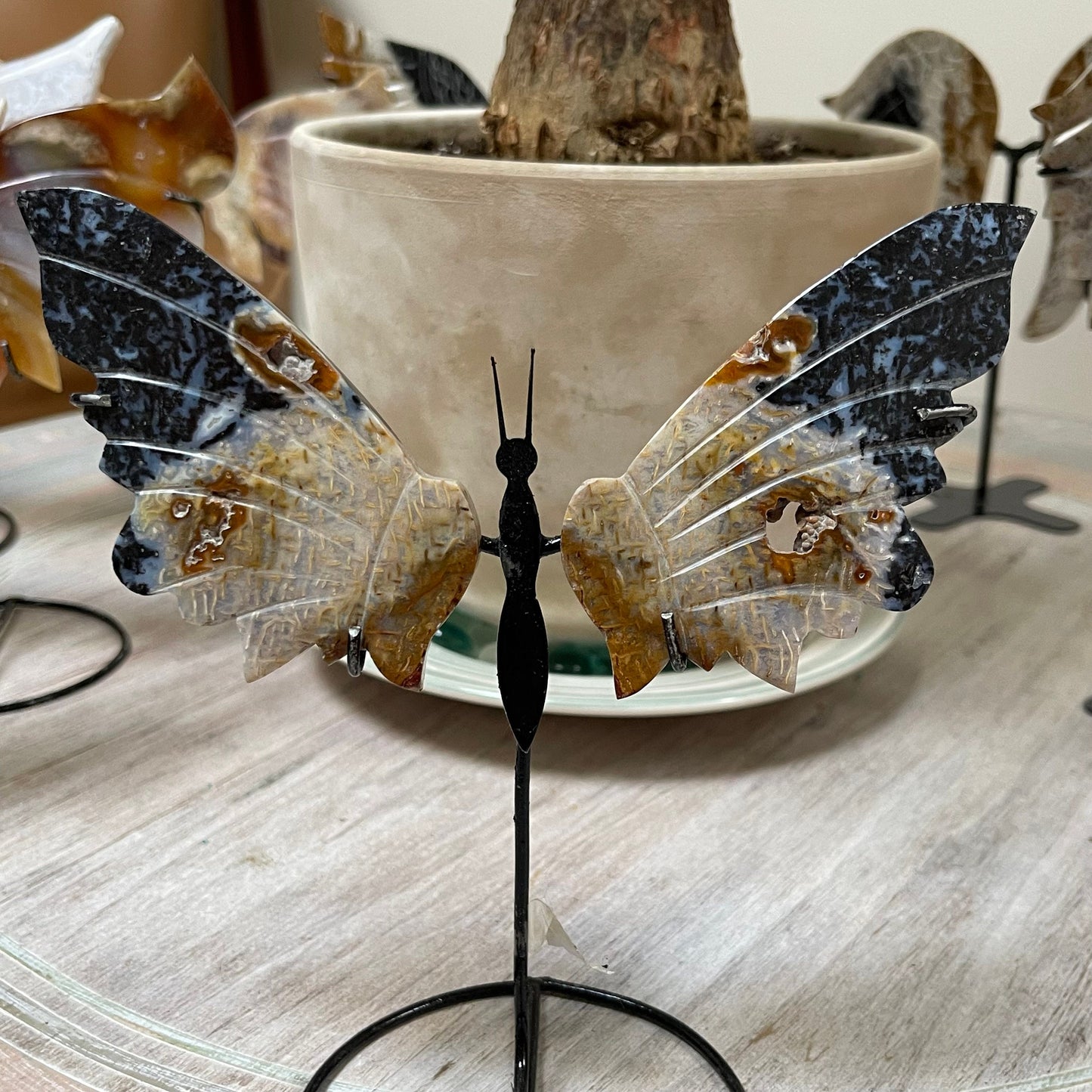 Fossilized Palm Root Butterfly Crystal Wing Set on metal stand