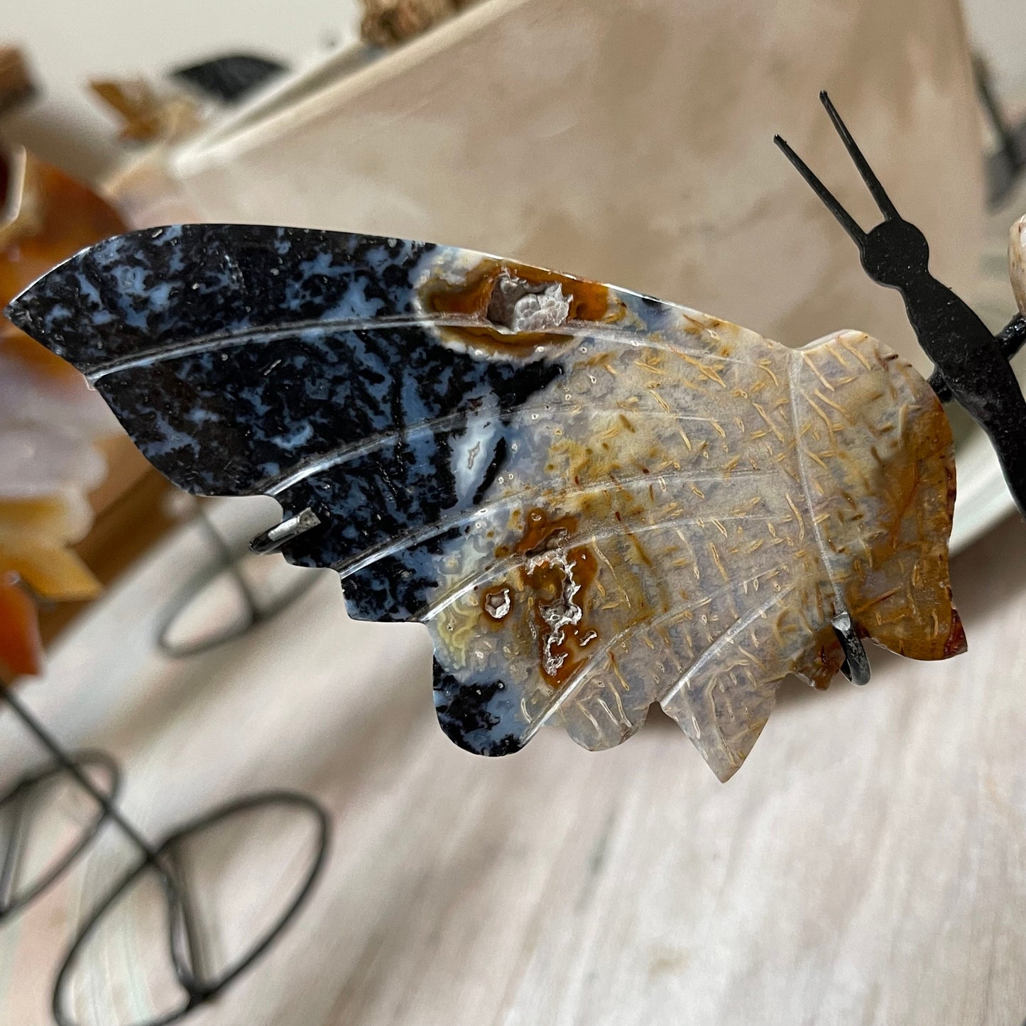 Fossilized Palm Root Butterfly Crystal Wing Set on metal stand
