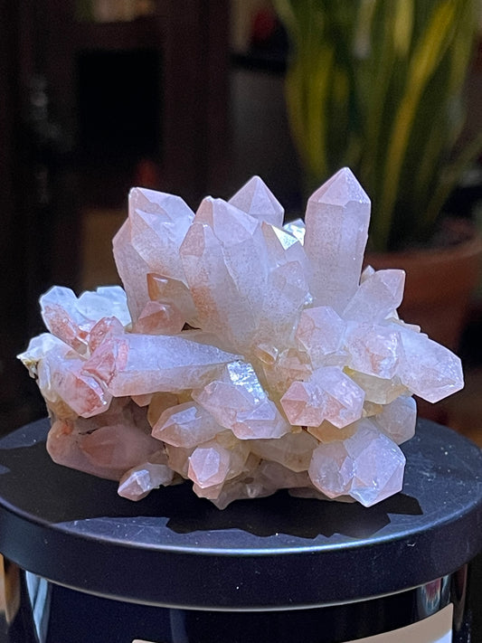Pink Hematite Quartz Cluster | Pink Quartz | Elestial Quartz | Natural Hematoid Cluster