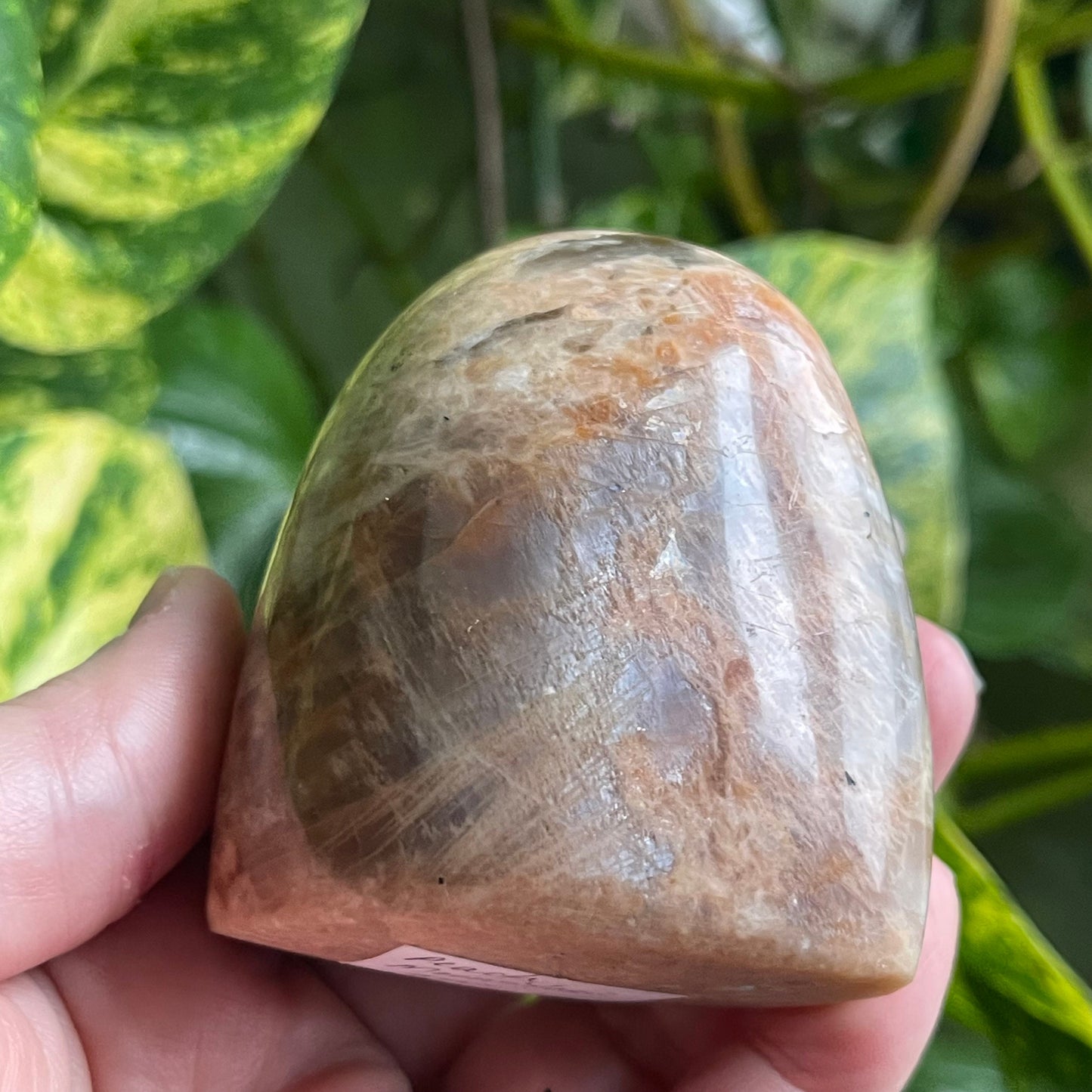 Peach Moonstone Cut Base Free Form