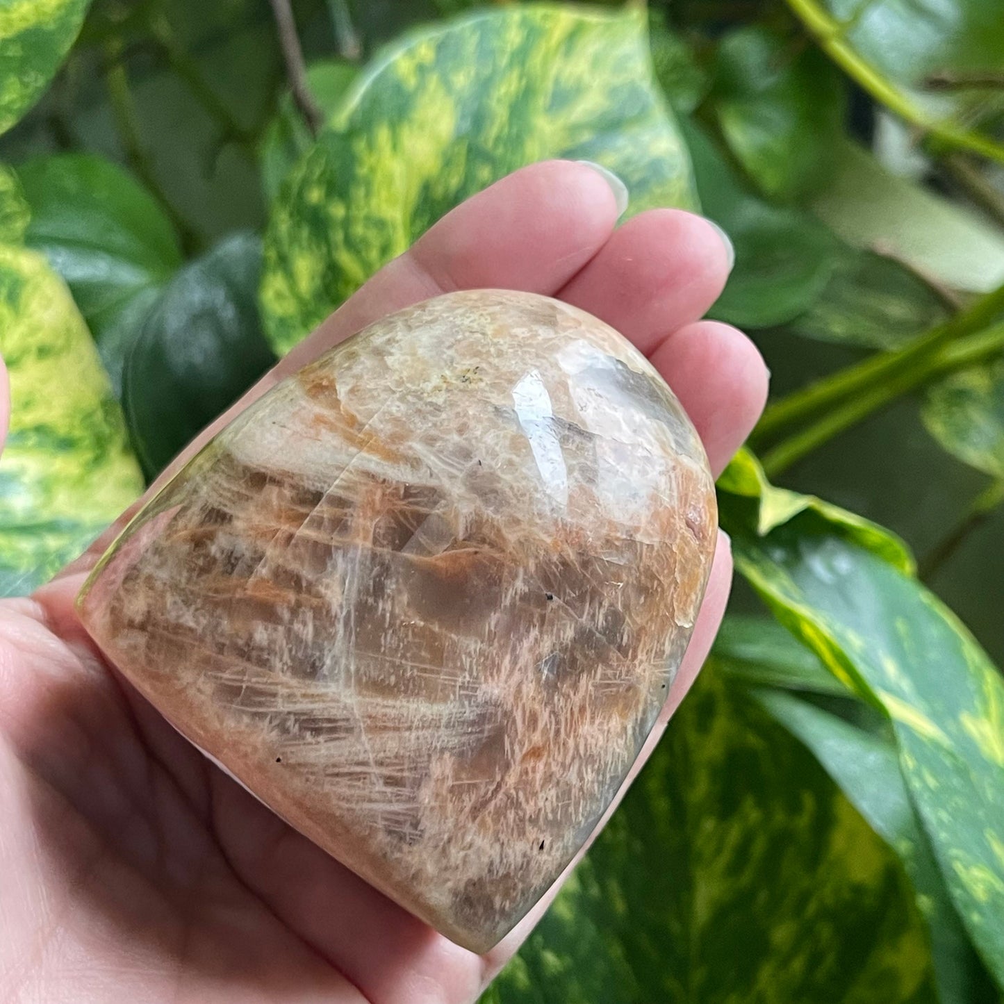 Peach Moonstone Cut Base Free Form