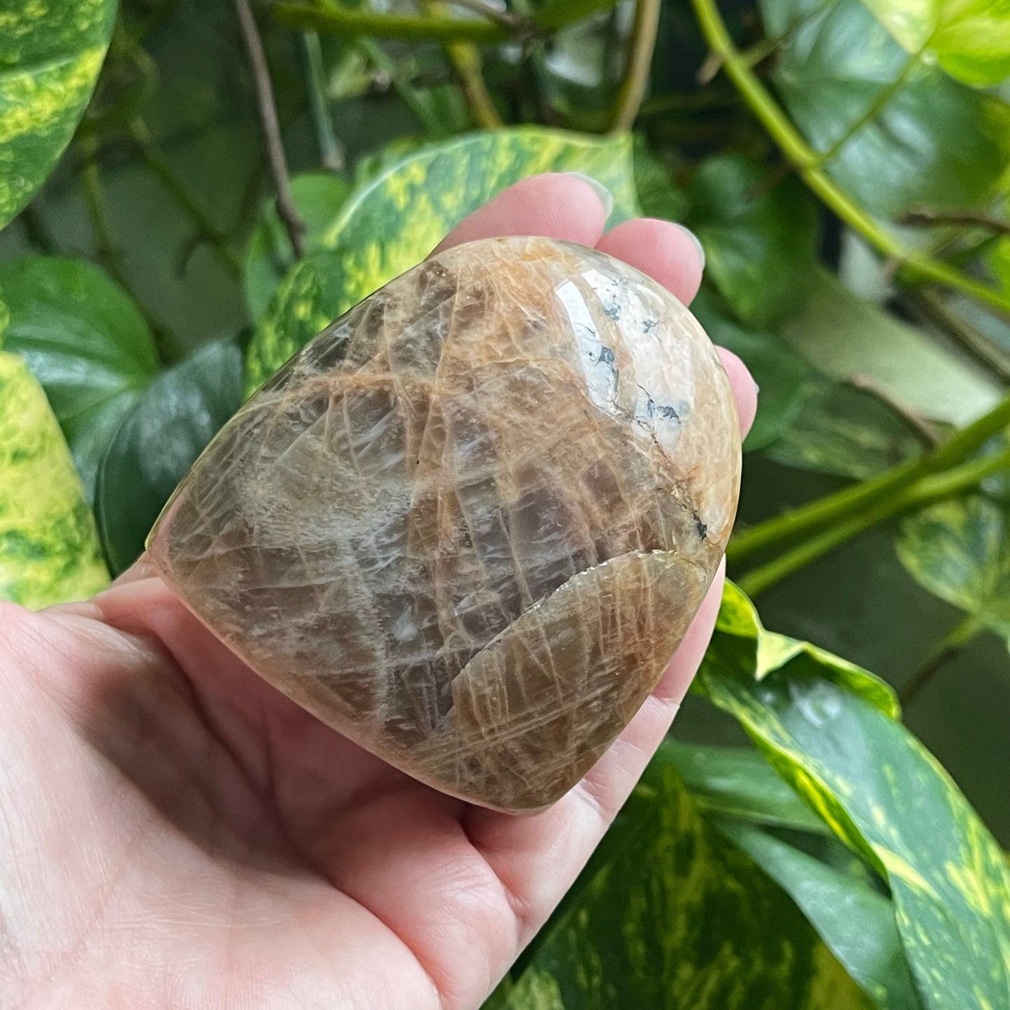 Peach Moonstone Cut Base Free Form