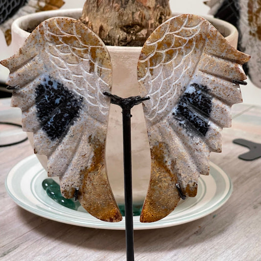 Fossilized Palm Root Crystal Angel Wings on stand